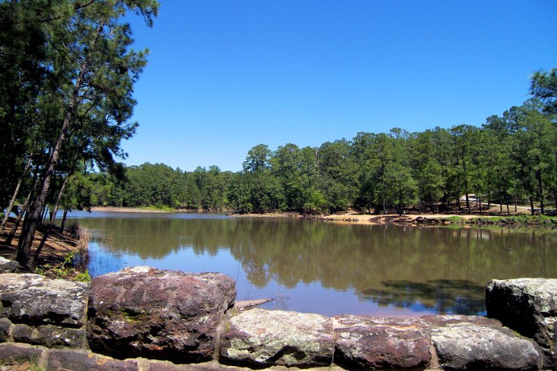 Bastrop State Park, Texas, USA